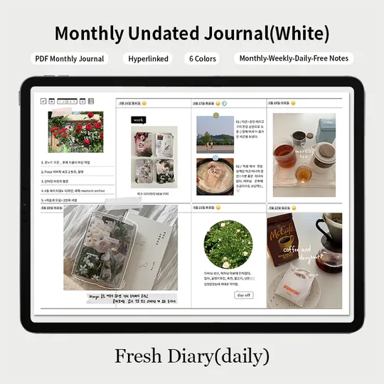 Undated Monthly Journal(Fresh Diary Daily) | Webudding